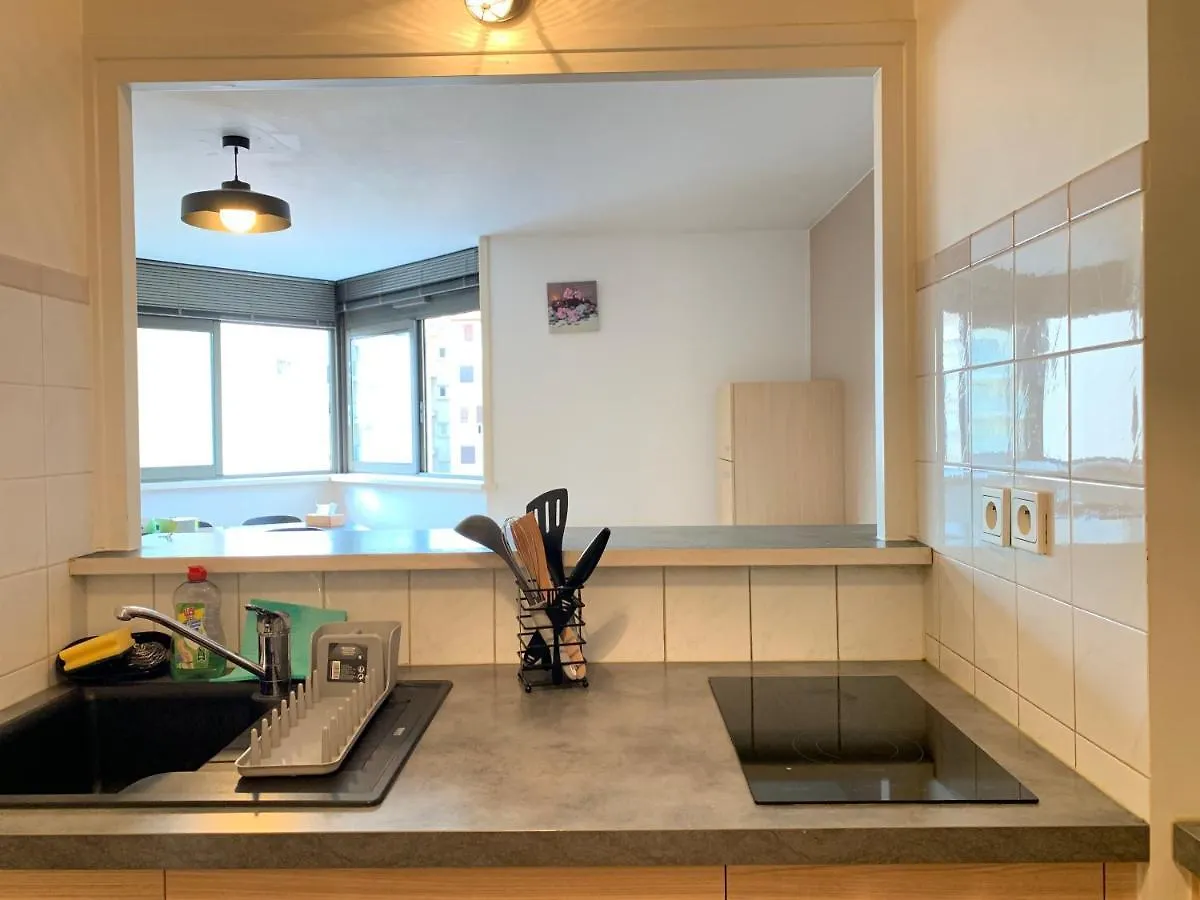 Superbe T2 Avec Place De Parking Annemasse Apartment